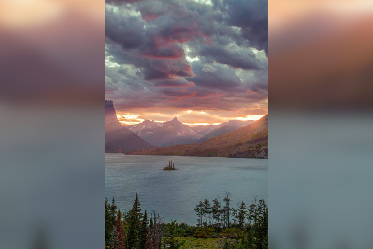 Android wallpaper triggers rare bug that will crash your phone, users ...