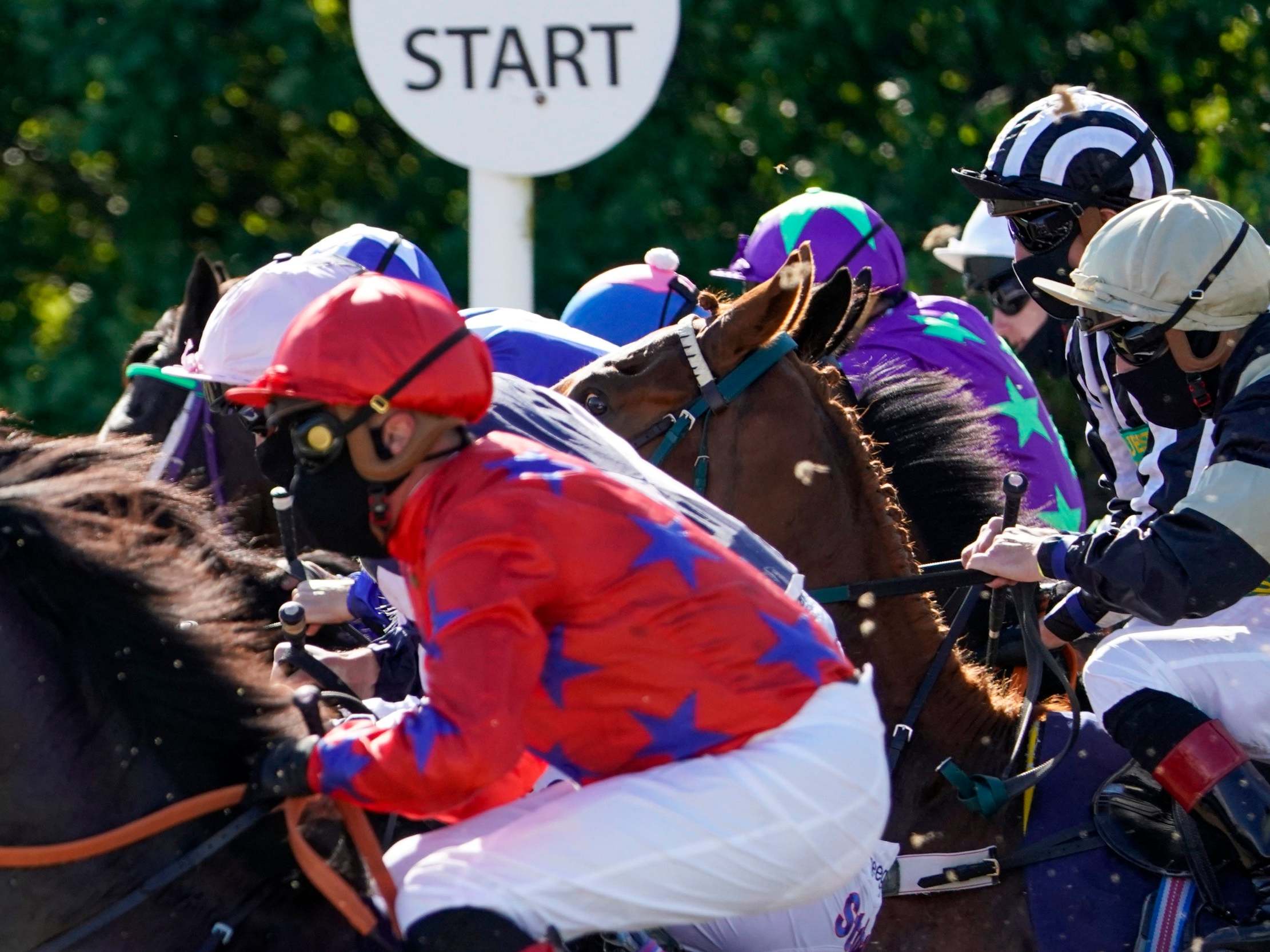 Starting stalls at Newcastle Racecourse