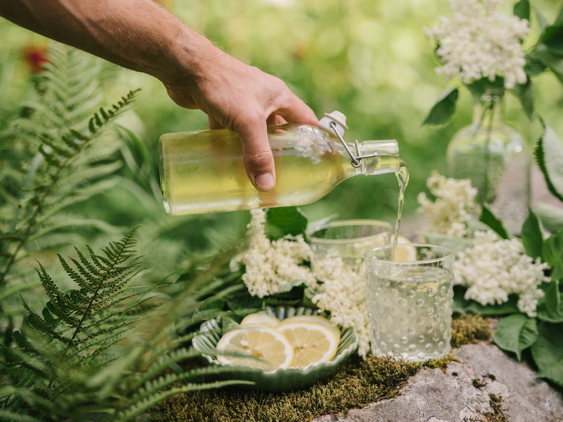 Once you’ve picked your crop of elderflowers, the cordials and preserves you make with the fragrant flowers last for months
