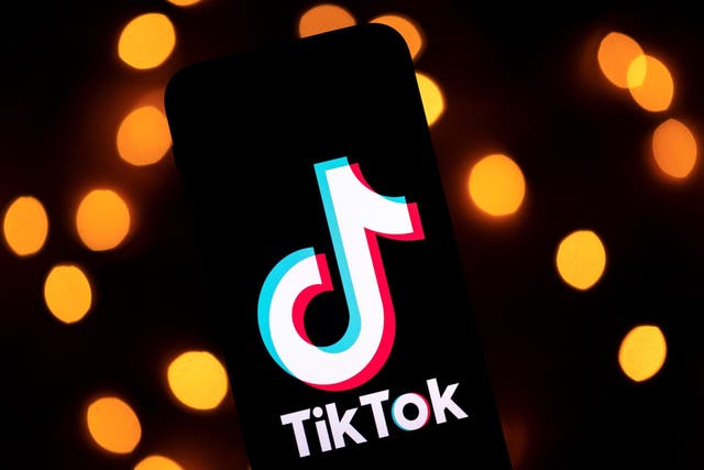 <p>TikTok is among the popular Chinese apps that has been banned in India amid border tensions</p>