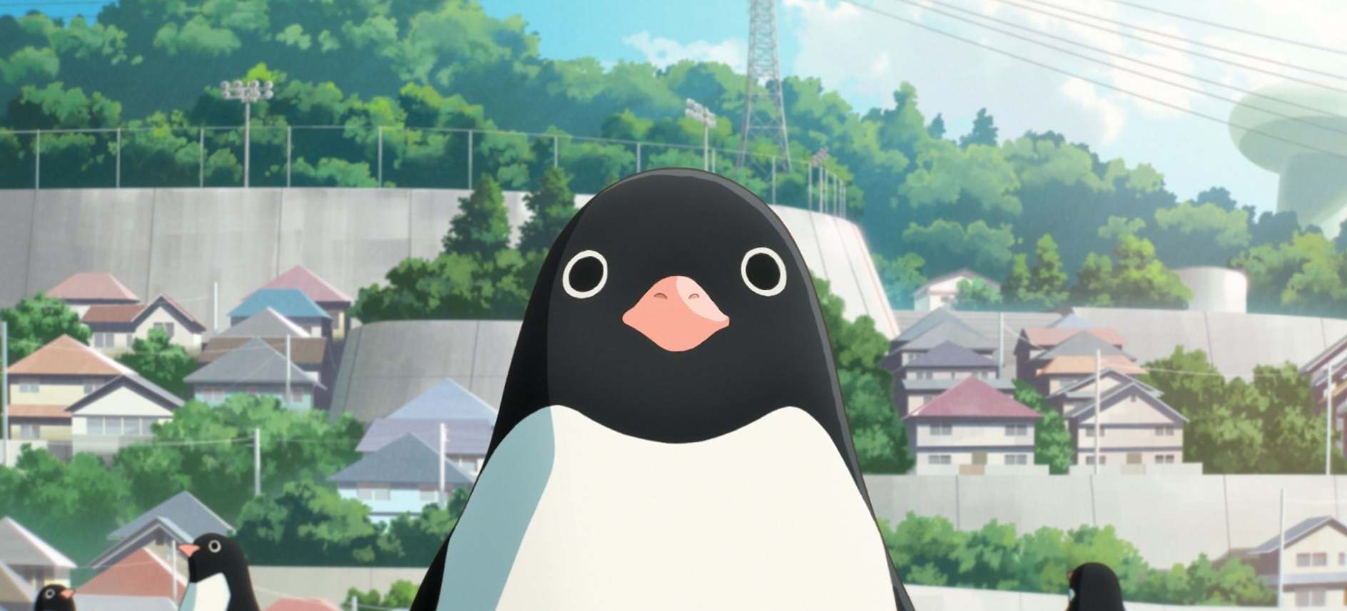 ‘Penguin Highway’, a sci-fi anime in which penguins appear in a rural Japanese town with no explanation, is part of Screen Anime’s offering