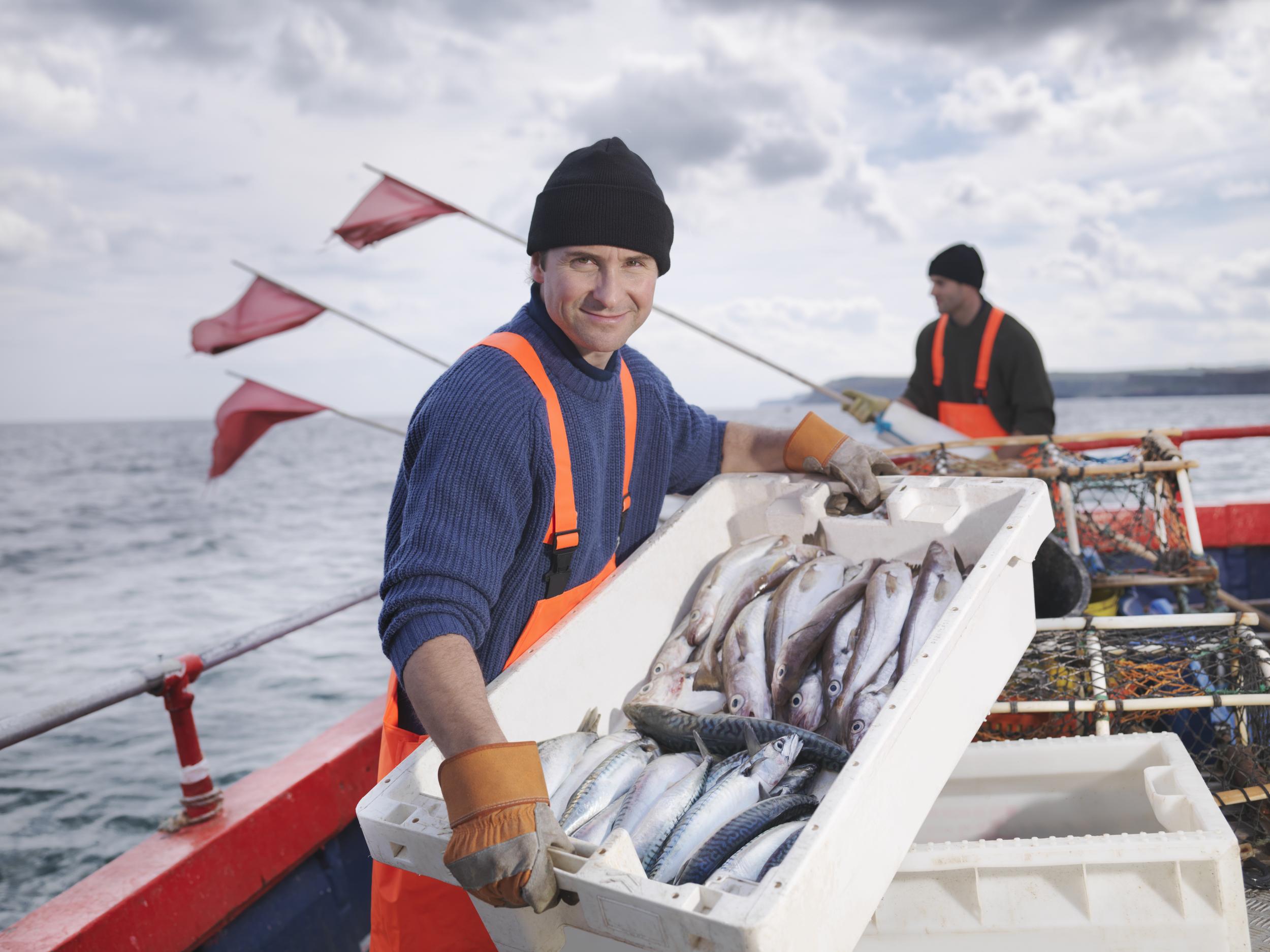 There's never been a better time to try some different British seafood