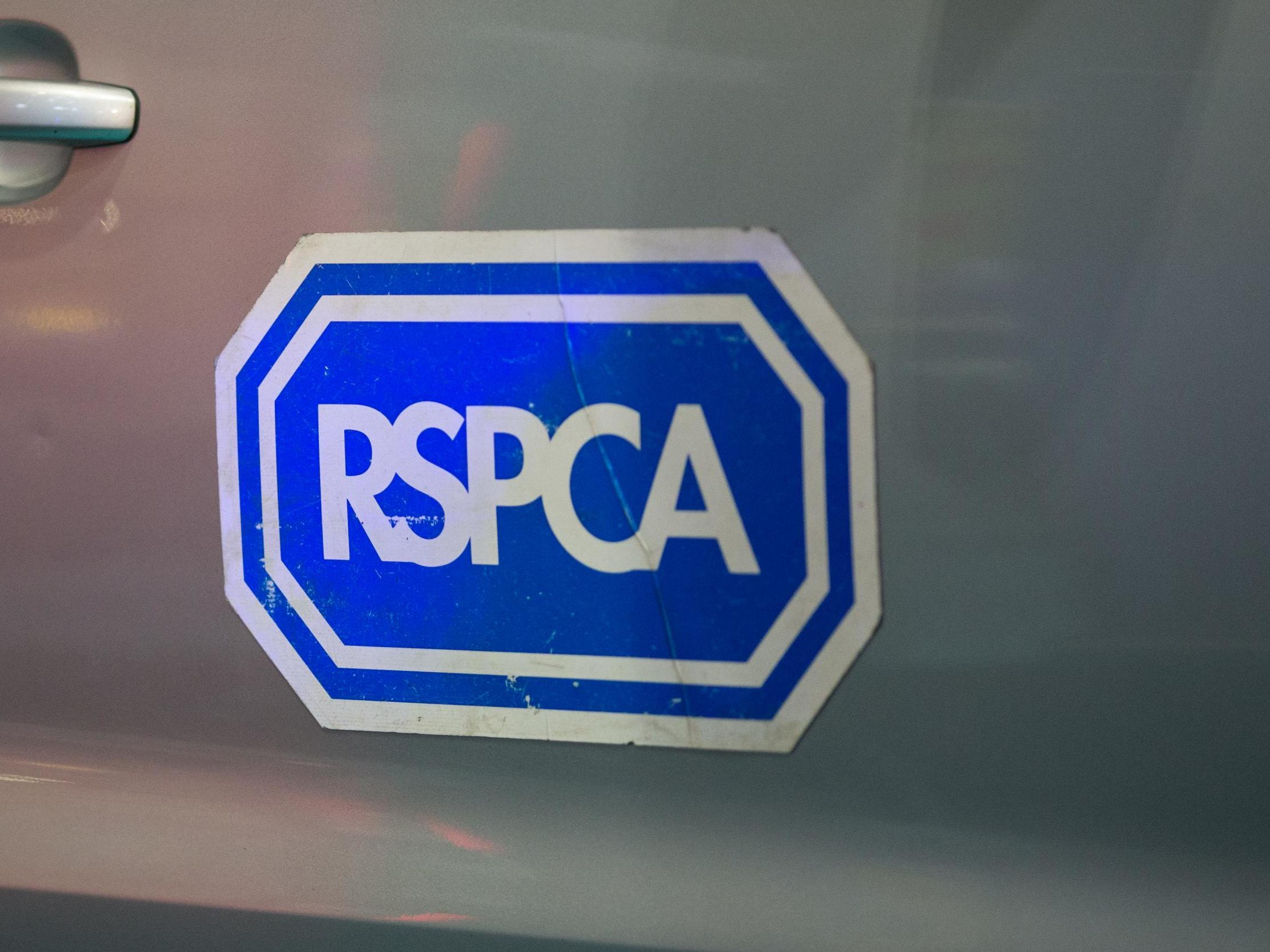 The RSPCA has appealed for information to help catch the person responsible for the dog's death.