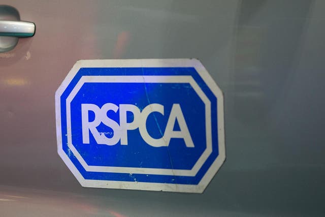 The RSPCA has appealed for information to help catch the person responsible for the dog's death.