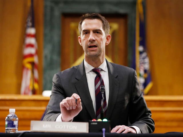 <p>Arkansas Senator Tom Cotton is reportedly under consideration to be Donald Trump’s 2024 running mate </p>