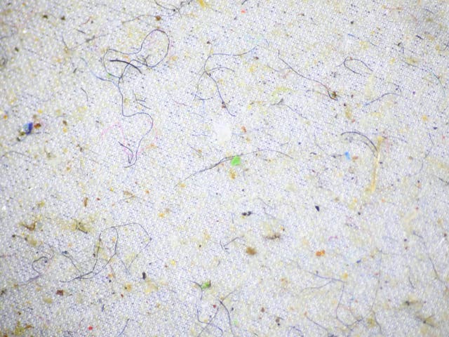 Textile fibres, seen retained on a filter, were found in seawater samples across the world