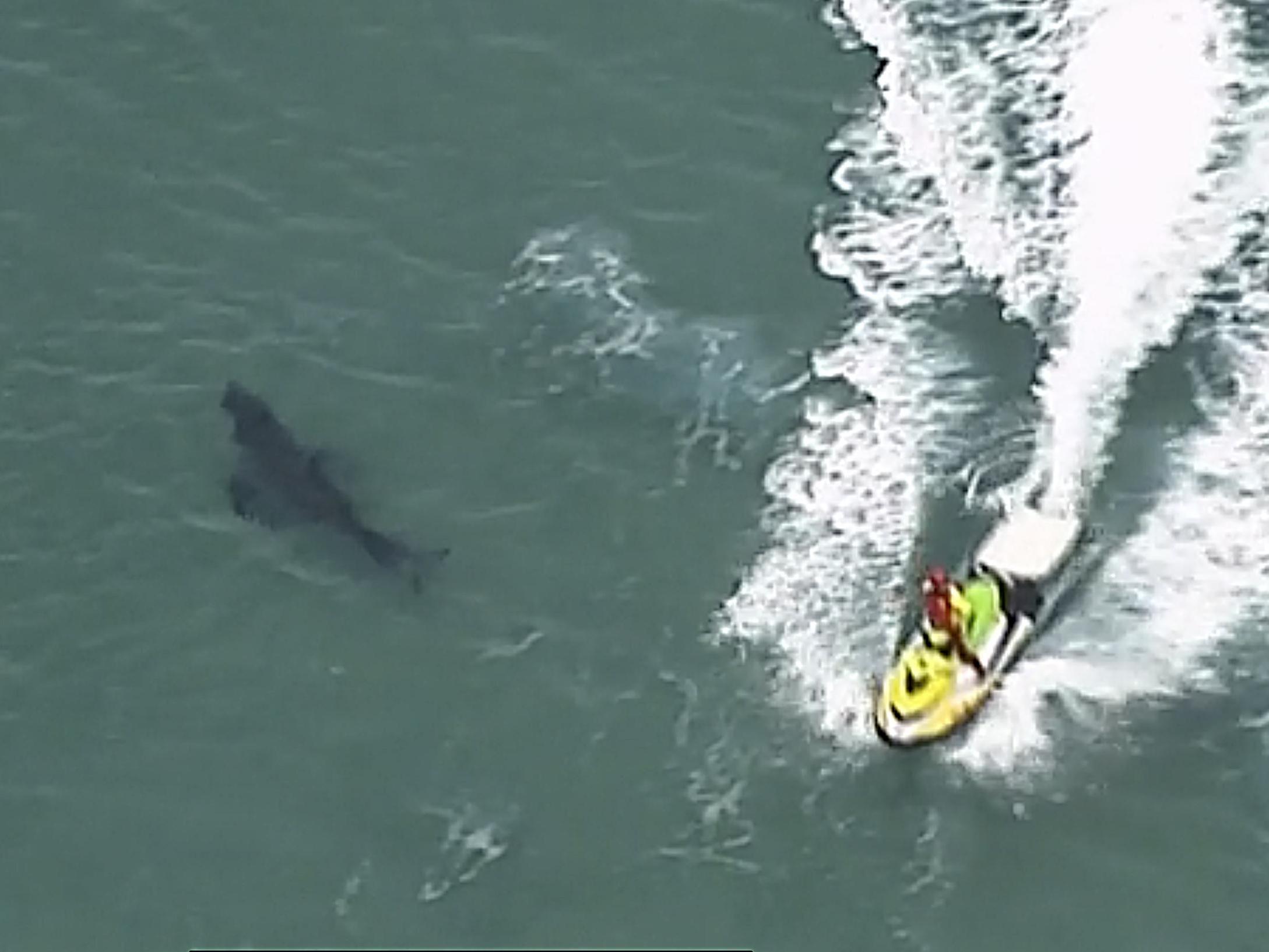 A jet ski passes over a shark swimming along the coast of Kingscliff, New South Wales, Australia, on 7 June, 2020,