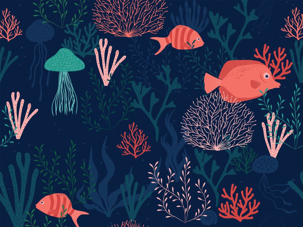 World Oceans Day 2021: Products that help protect marine ...