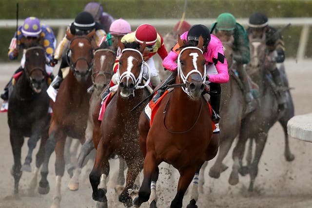 A horse race in 2019 at Gulfstream Park, Florida, where one of the racehorses that was killed ran its debut race earlier this year.