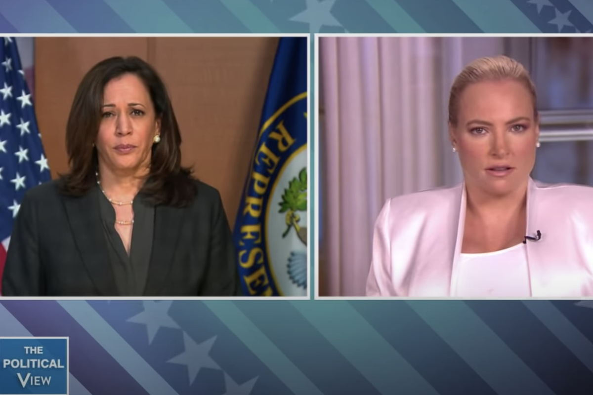 The View: Meghan McCain has tense exchange with Kamala Harris on police ...