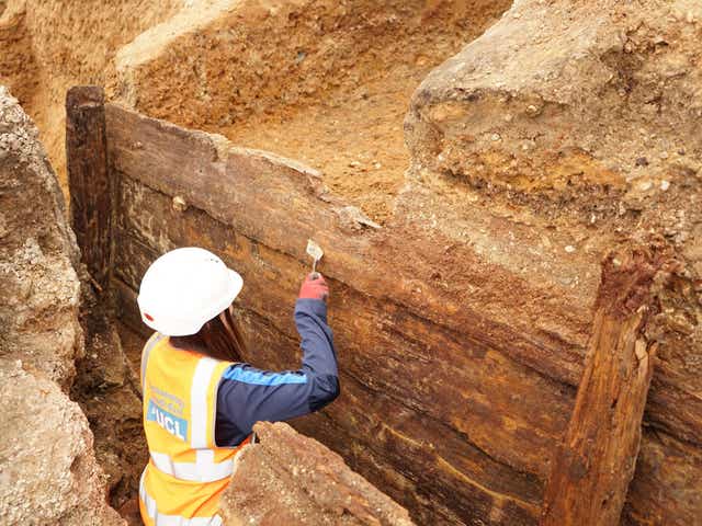 An archaeologist excavates the remarkably well-preserved timbers of the inner face of the theatres dog-fighting pit