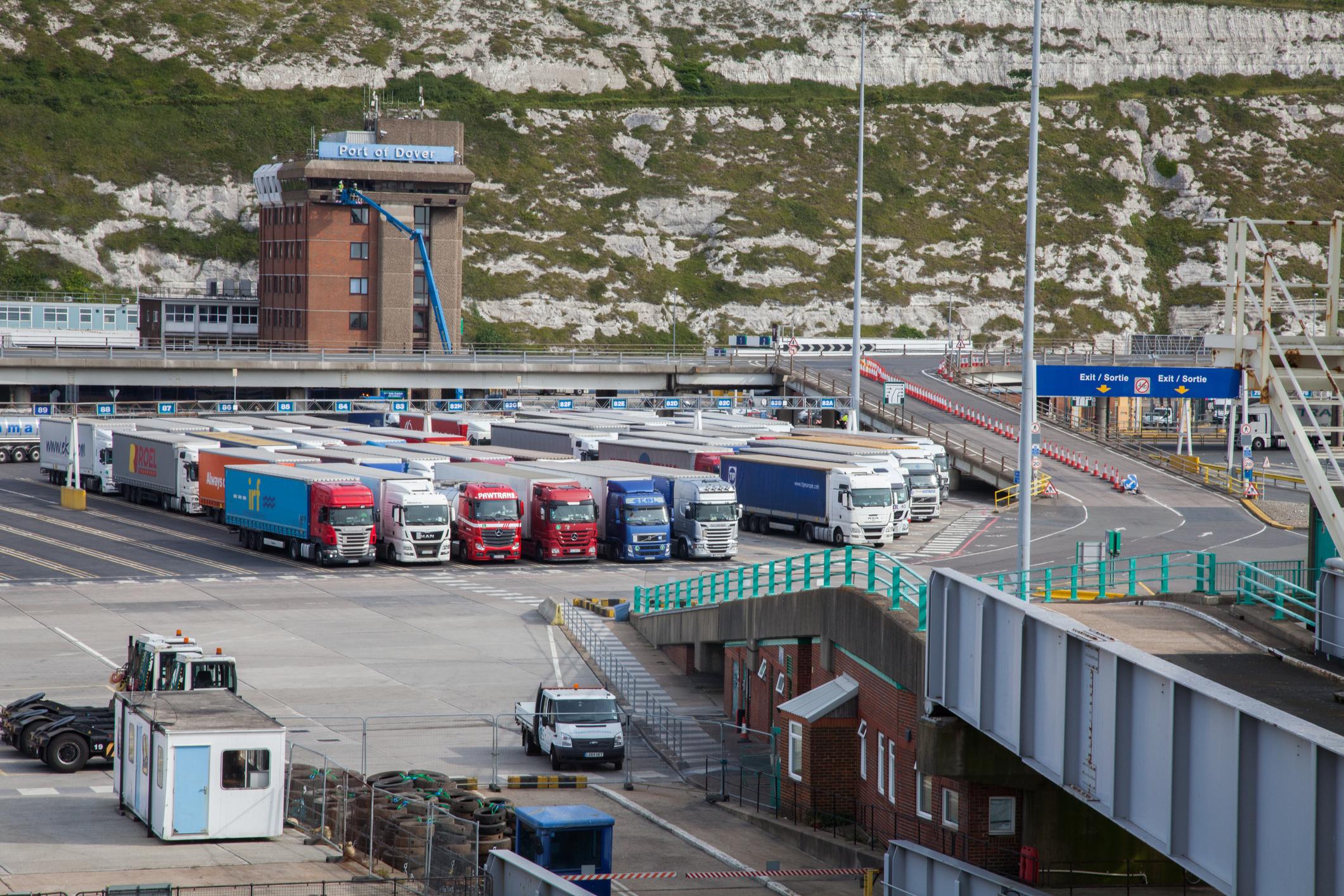 Brexit: UK borders still not ready for leaving single market at end of year, MPs told