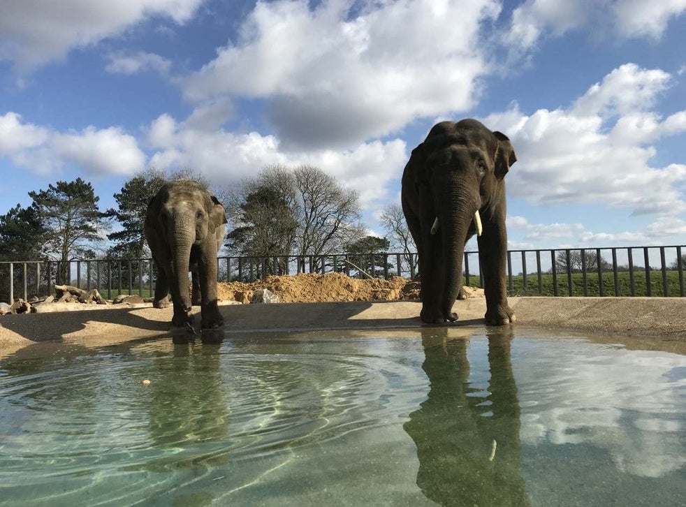 UK lockdown: Confusion and anger as zoos to reopen but schools stay