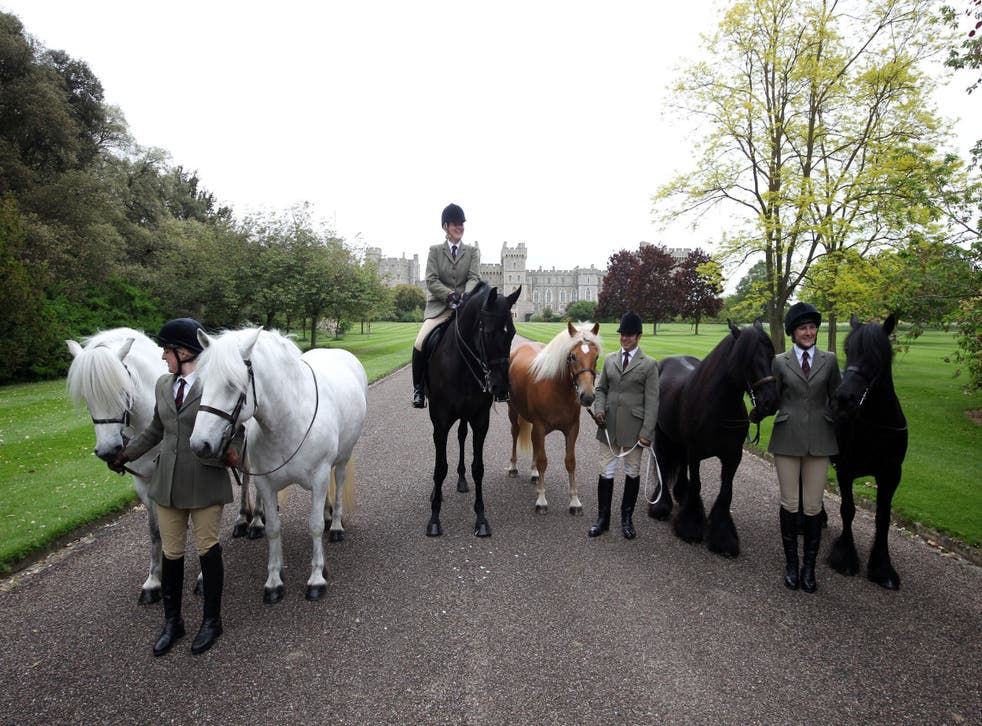 Queen shares her favourite horses from seven decades of reign ...