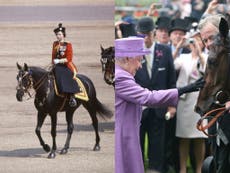 Queen shares her favourite horses from seven decades of reign