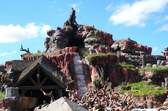 Disney fans request Splash Mountain theme changed