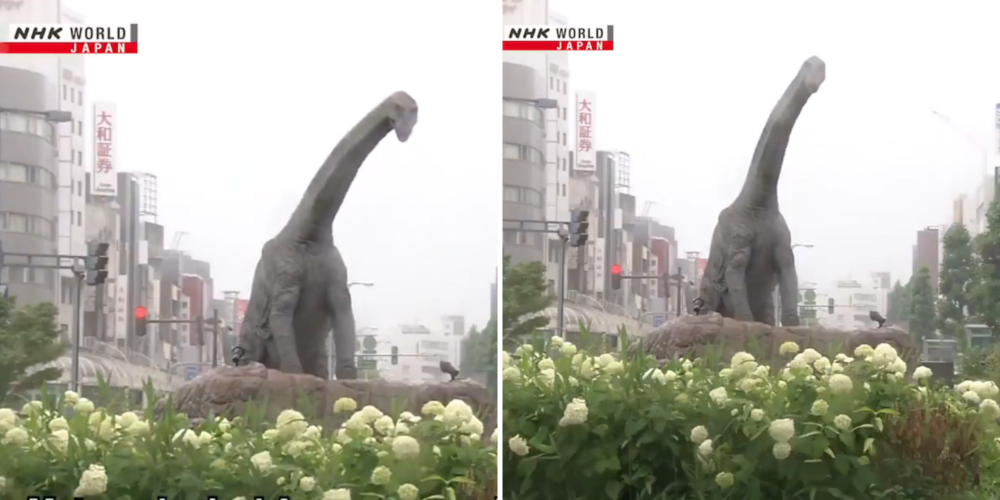 A Random Dinosaur Just Appeared In A Japanese Weather Report And People Are Baffled Indy100 Indy100