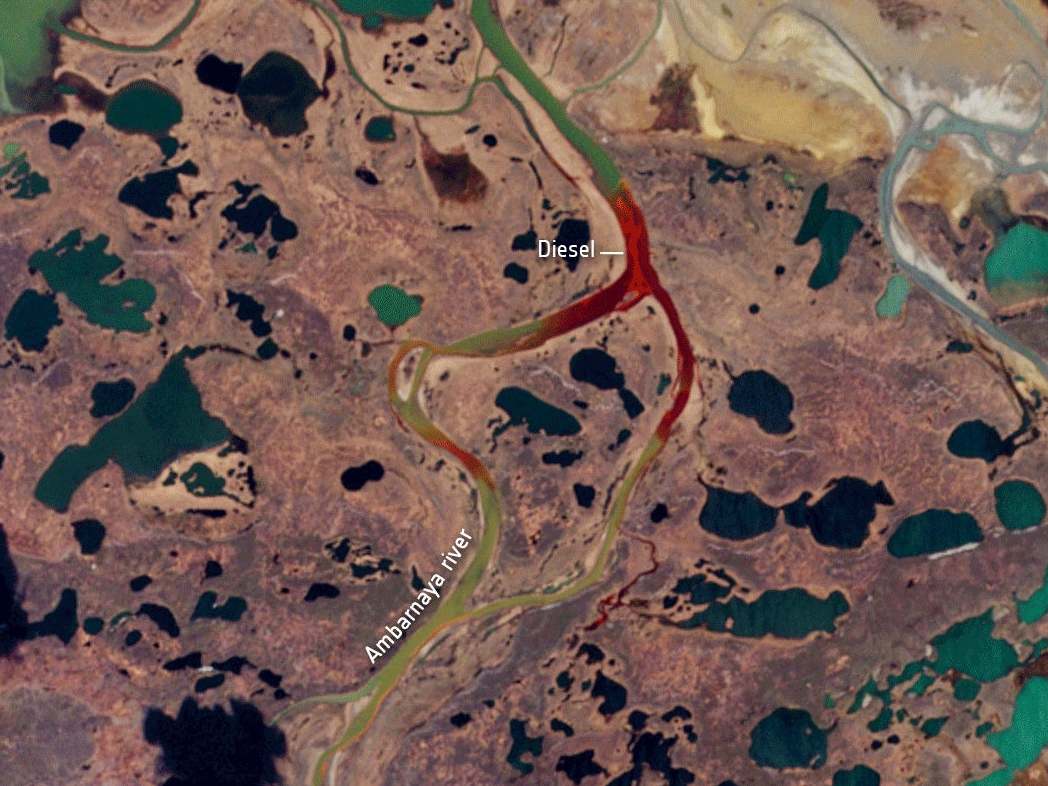 A satellite image taken on 1 June shows the extent of the diesel spill in the Ambarnaya river