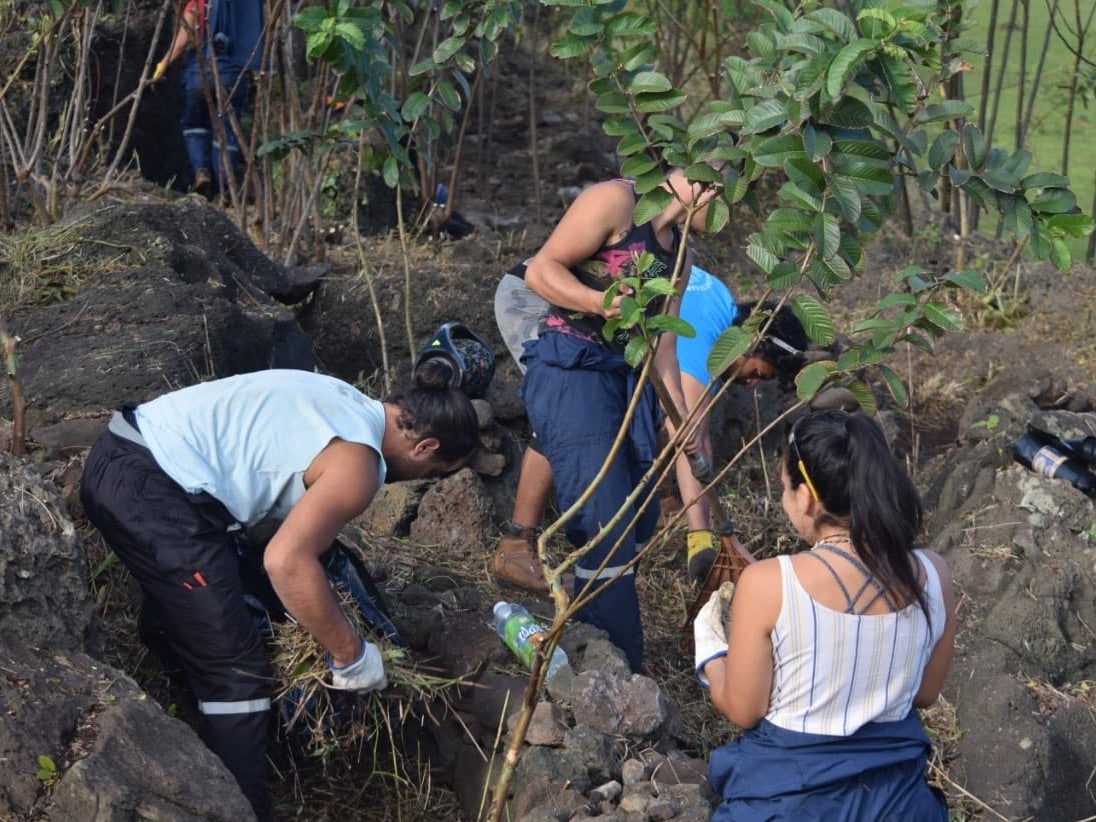 Every household in Easter Island is now expected to grow its own produce (Soledad Balduzzi)