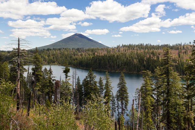 Suttle Lake landscape view from above. Mountain and hills covered by pine forest on a background Central Oregon, USA