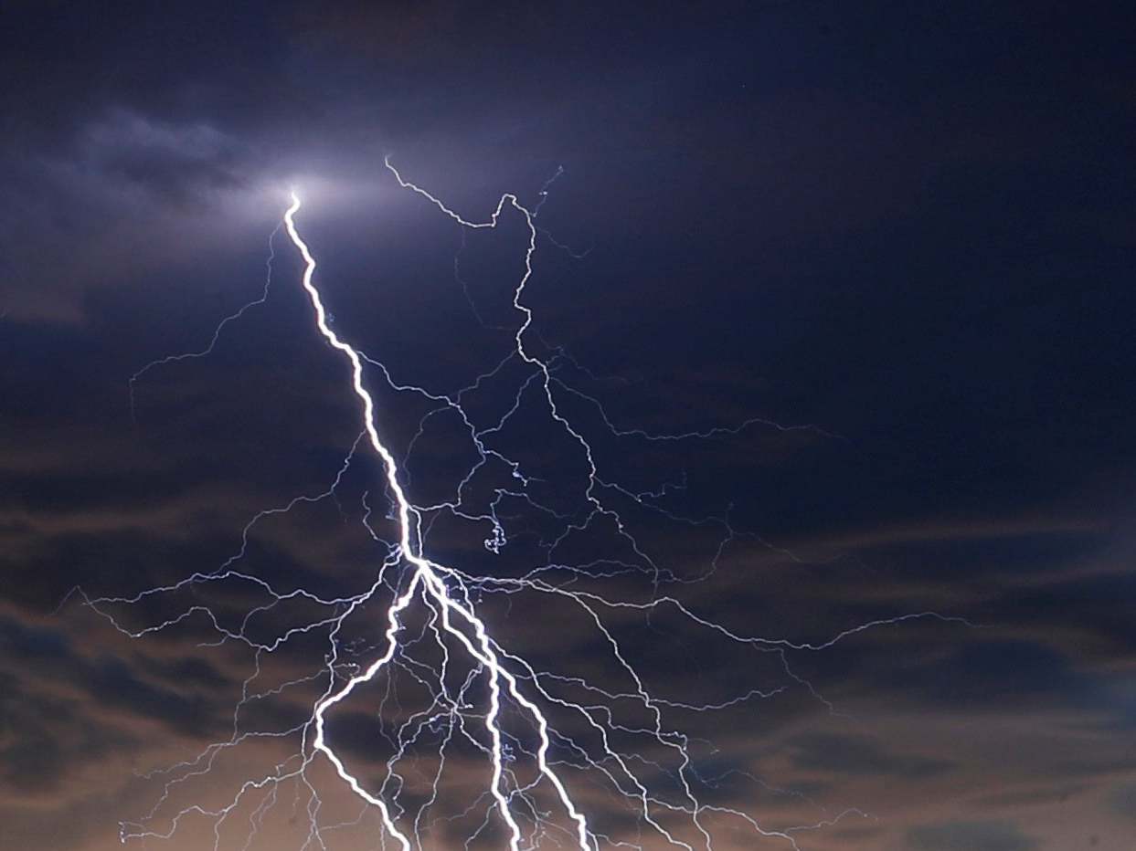 Lightning kills nine cows during heavy storm
