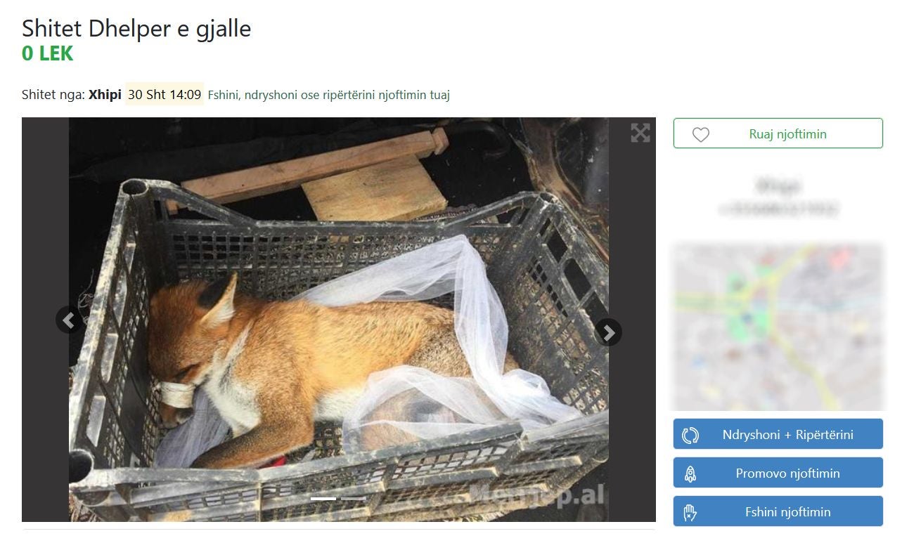 A live fox with its mouth taped up advertised for sale