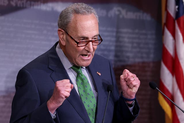 Senate Minority Leader Chuck Schumer's hand-picked slate of Senate Democratic challengers has fared well in their primaries.