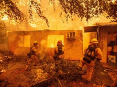 Power company PG&E to plead guilty to 84 deaths from California wildfire