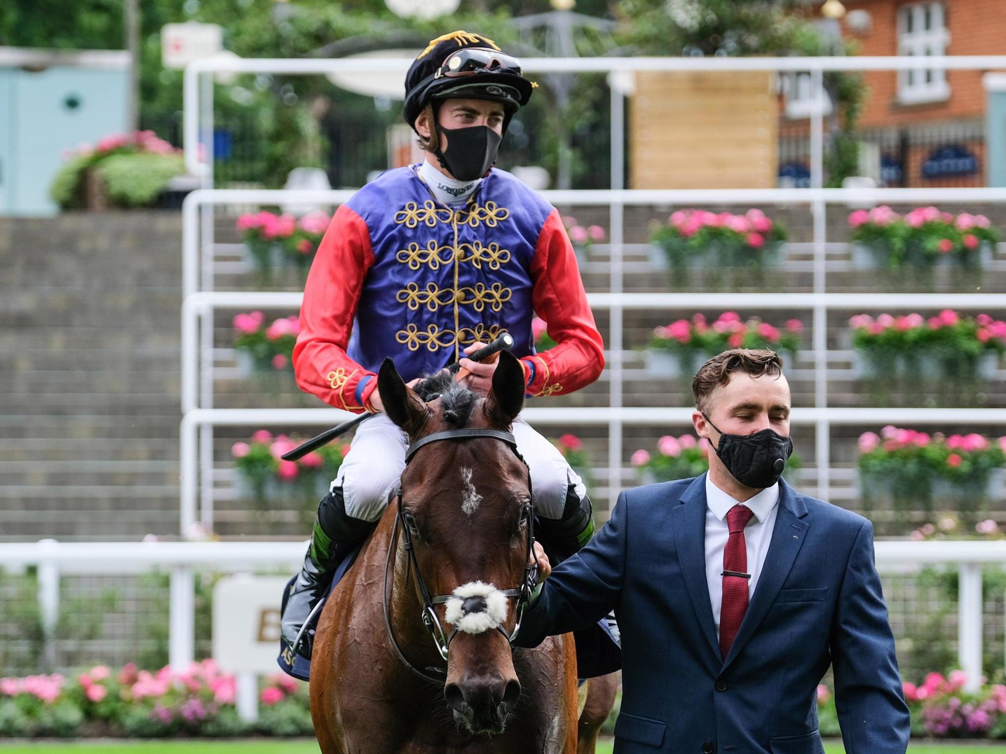 Tactical is led away after winning The Windsor Castle Stakes