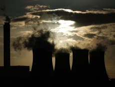 Every part of environment at risk after Brexit, green groups warn