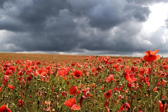 Clouds gather over a field of poppies near Faversham in Kent on 18 June, 2020.