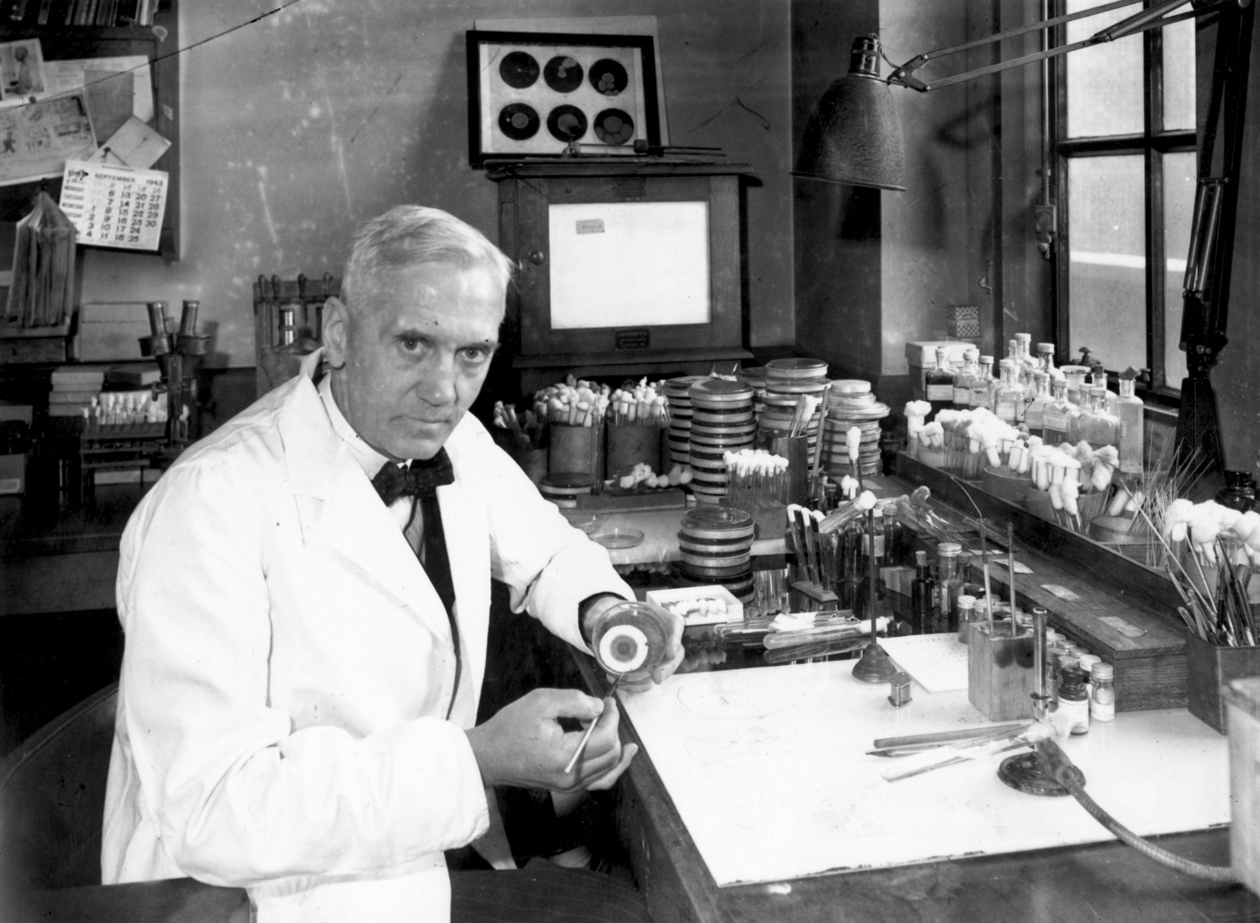 Sir Alexander Fleming in his laboratory at St Mary’s Hospital, London, in 1943