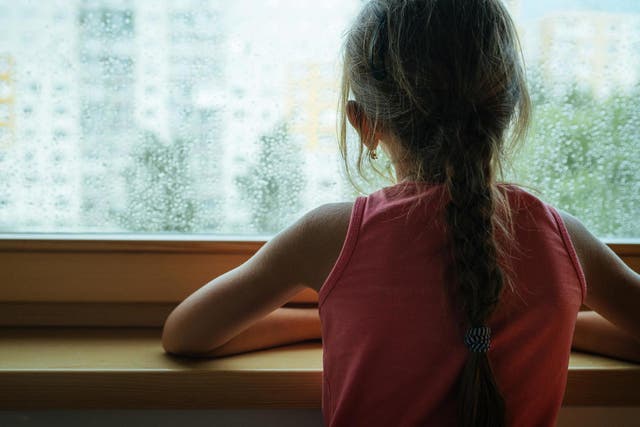 The Fostering Network last year said there was a need for 8,500 foster carers Getty/iStock)