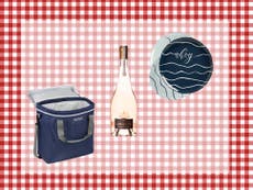 Everything you need for a picnic in the park