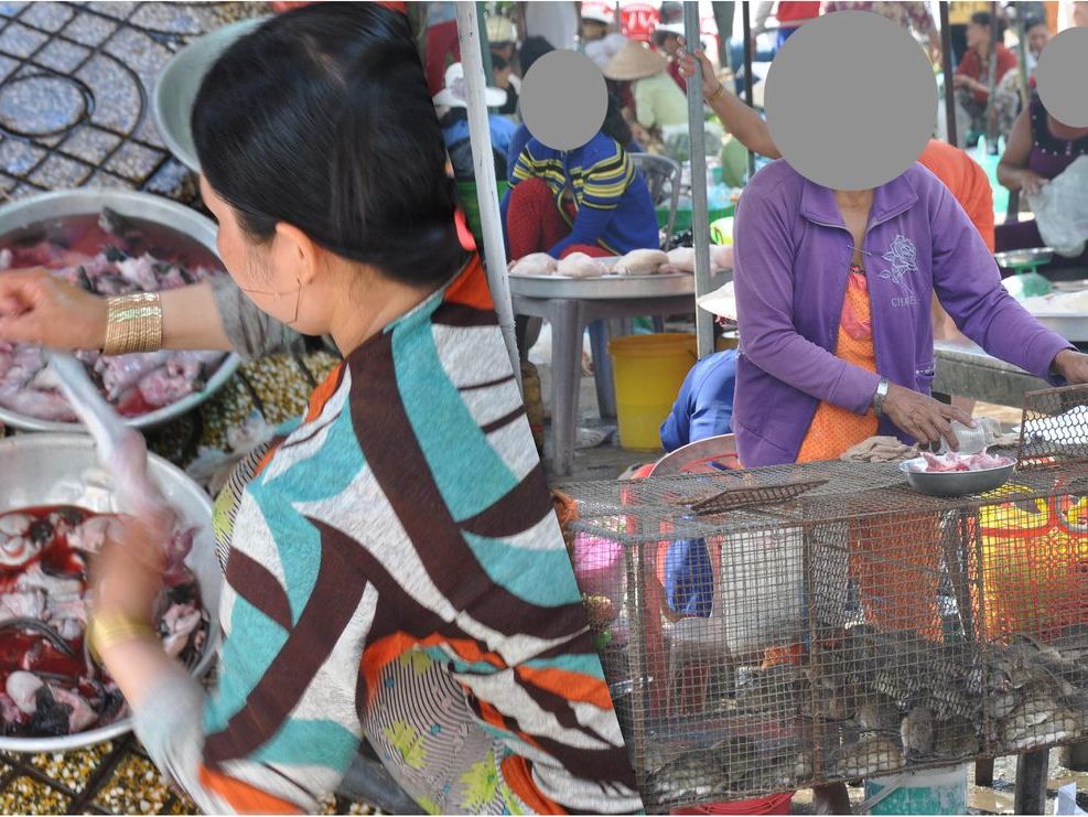 Slaughtering rodents (left) and rodent market (right) in Dong Thap province, October 2013