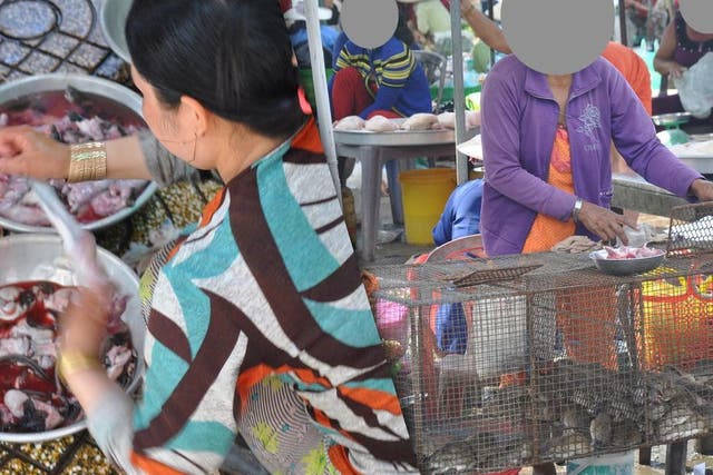 Slaughtering rodents (left) and rodent market (right) in Dong Thap province, October 2013