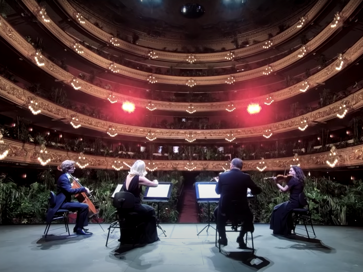 string-quartet-performs-to-thousands-of-plants-as-barcelona-opera-house