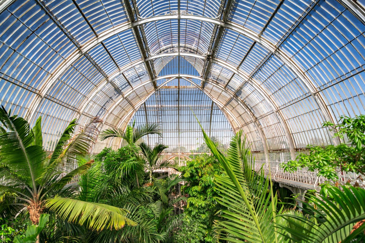 The time has come to decolonise botanical gardens like Kew