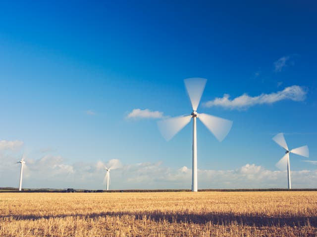 Wind farm in winter in Cornwall. 'At the coldest time of year, wind and renewables rewrote the record books', industry body says