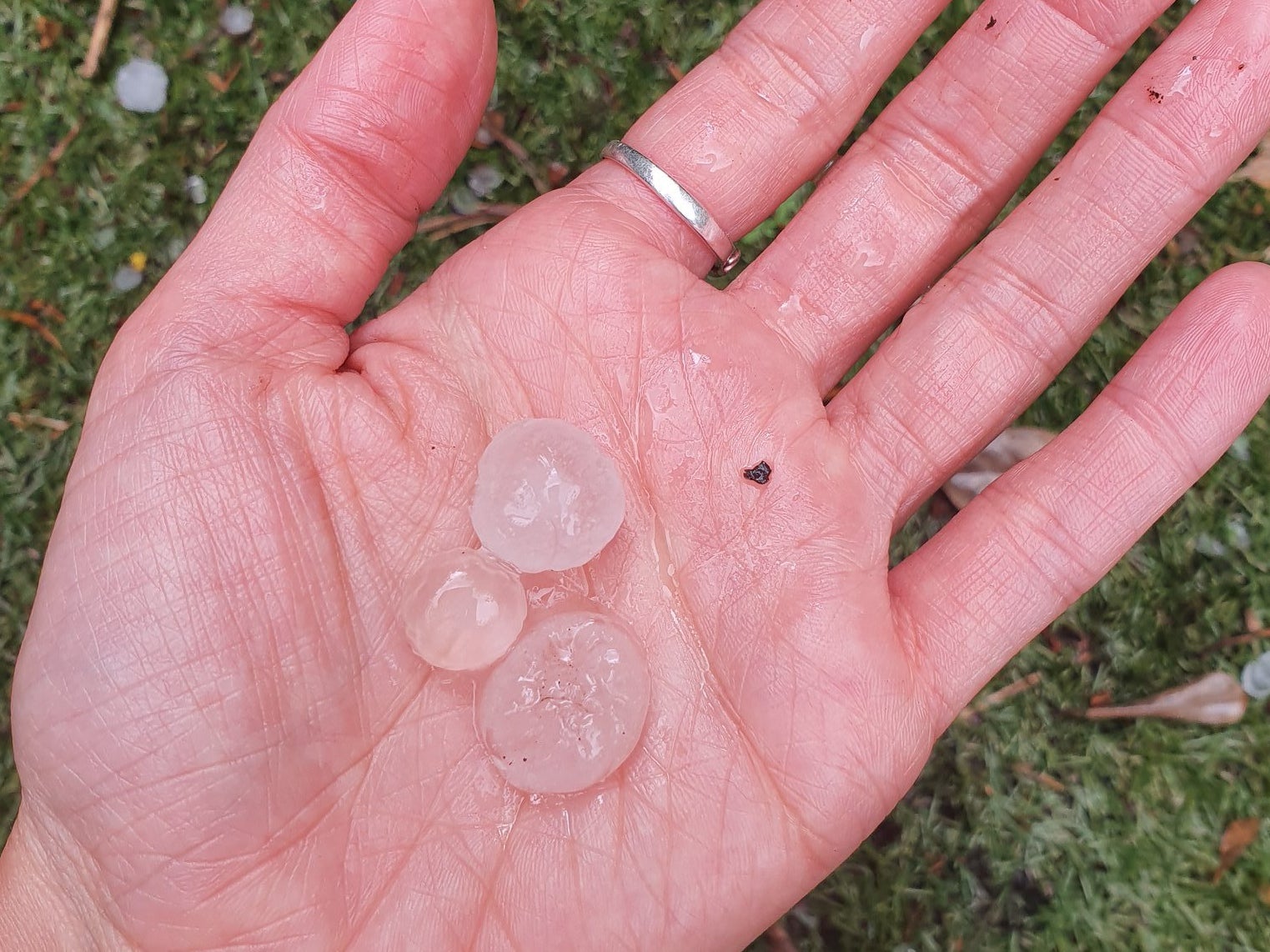 Large hailstones fell in Leeds on Friday