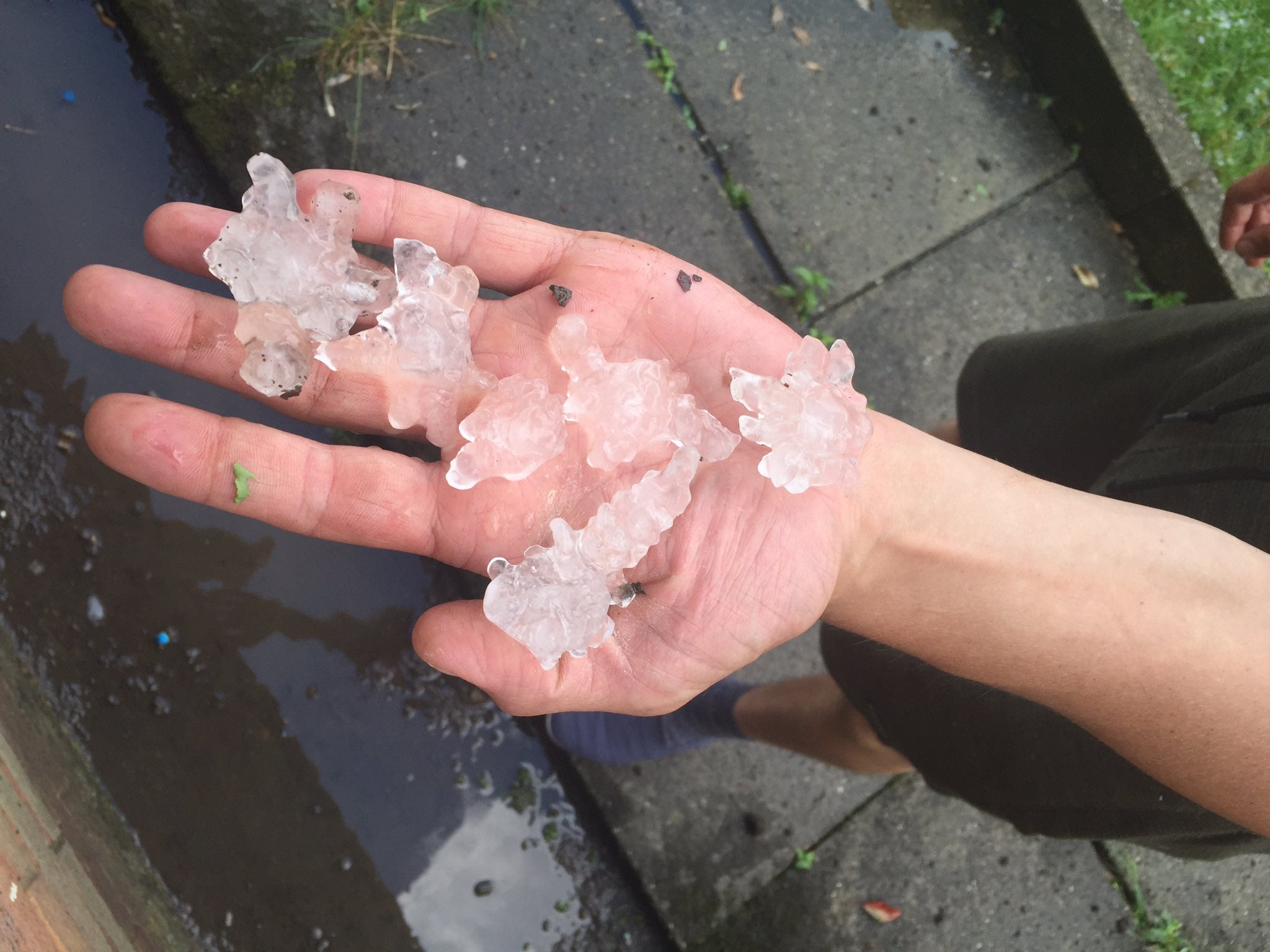 An image posted on social media shows hailstones that fell in Sheffield on Friday