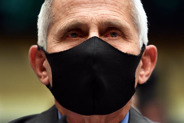 A masked Dr Anthony Fauci testifies to a house committee, June 2020