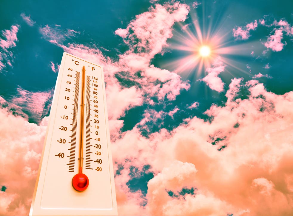 The highest temperature on record in the UK was set in July 2019 in Cambridge Botanic Gardens where a measurement of 38.7C was taken