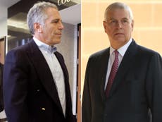 Prince Andrew ‘lobbied US government for better plea deal for Epstein’