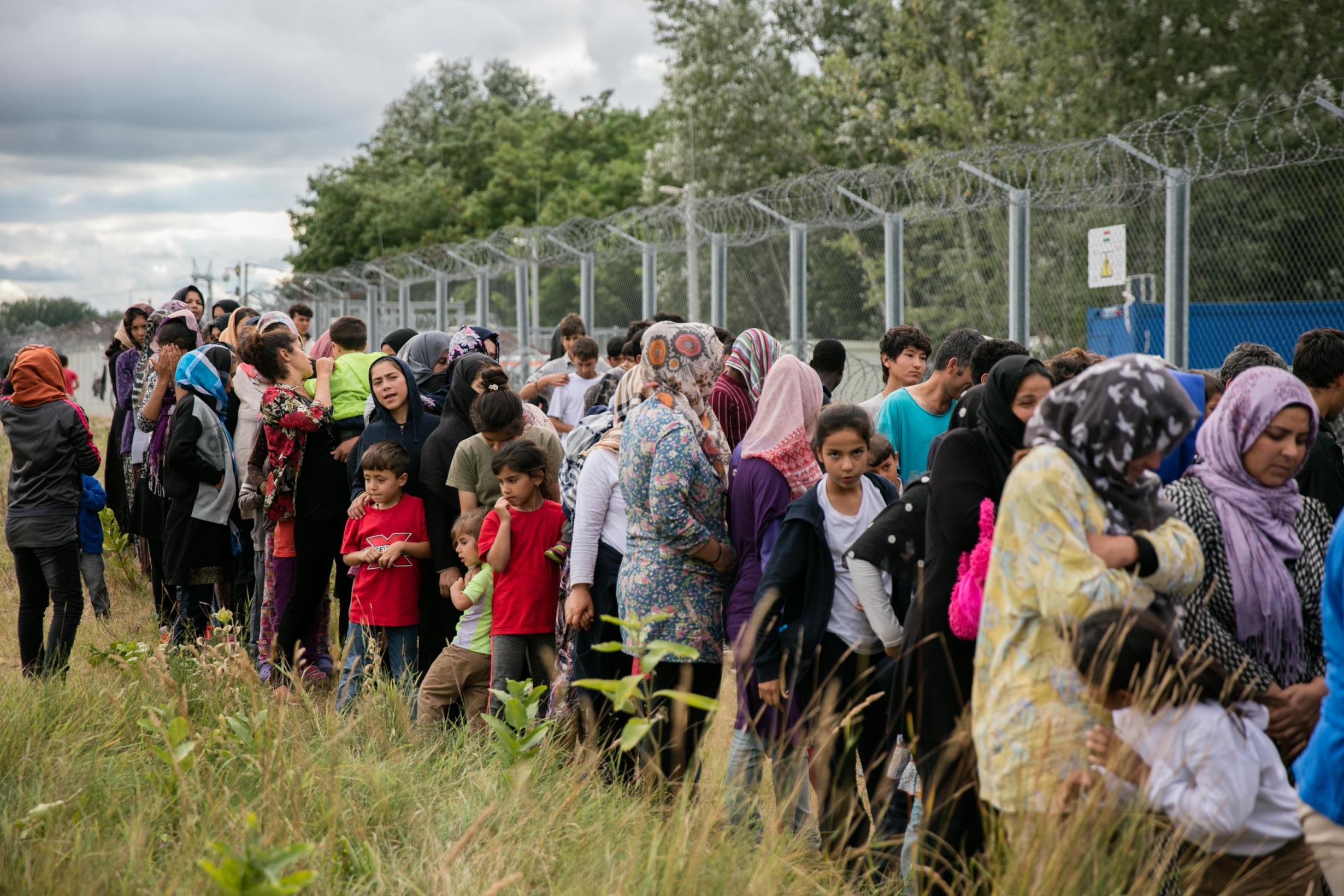 Migrants queue for food delivered by volunteers at a camp close to the border crossing between Serbia and Hungary