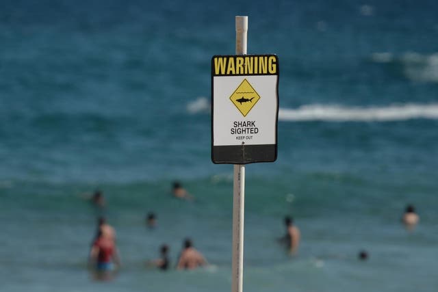 At least four people have died in shark attacks in Australia this year