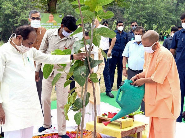 Yogi Adityanath, Uttar Pradesh's chief minister, has said India has pledged to increase its forest cover to 235 million acres by 2030