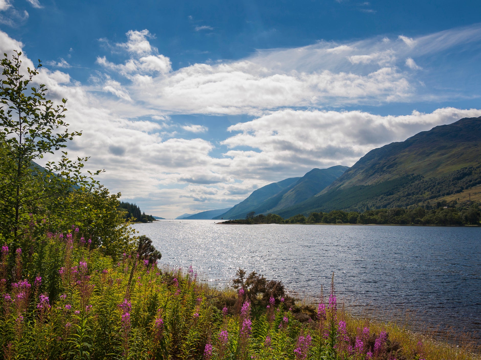 The 500-hectare Bunloit estate in the Scottish Highlands is on the edge of Loch Ness