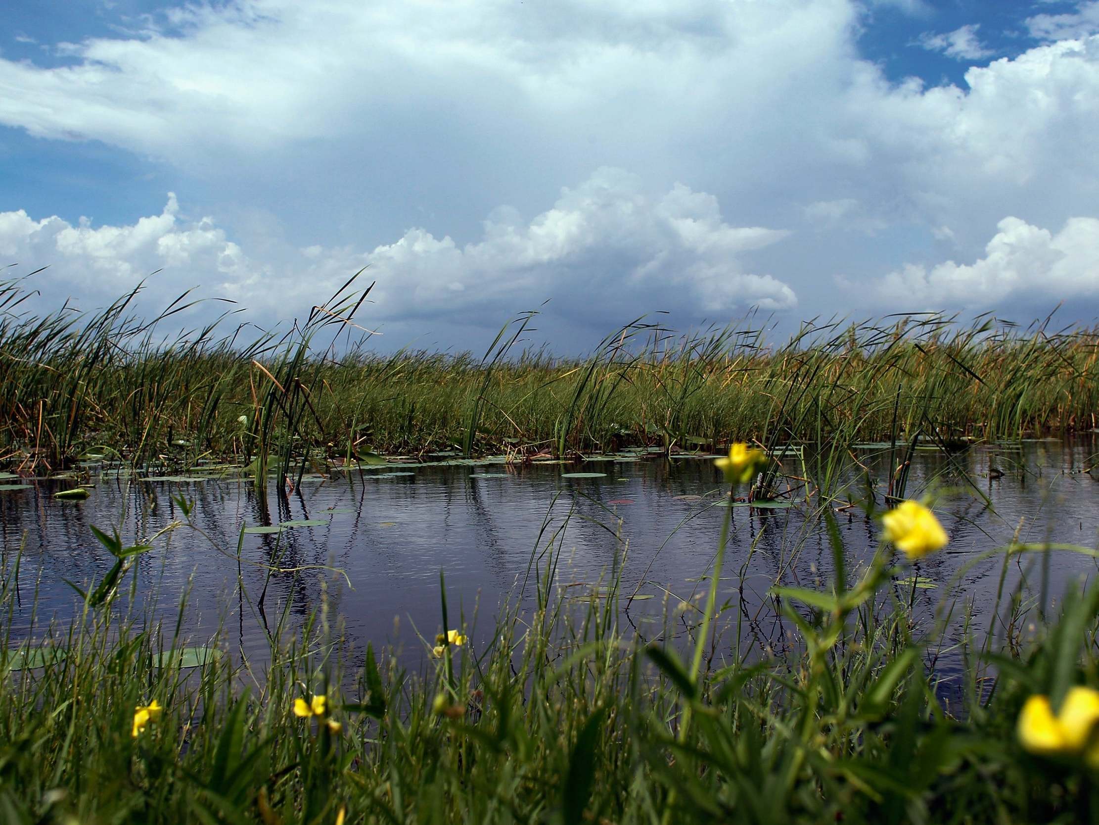 Florida's health department has warned swimmers about a rare disease in warm freshwater