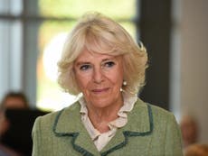 Camilla warns of ‘horrific’ numbers of domestic abuse after lockdown